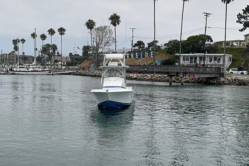 Slide: The Image of Contender 31 Fisharound 2005 - 5