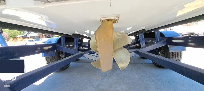 Slide: The Image of Tige Z3 2023 - 16372988