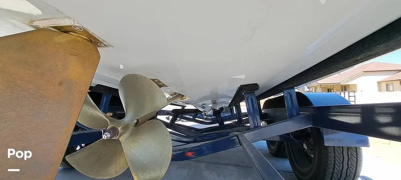 Slide: The Image of Tige Z3 2023 - 16372109