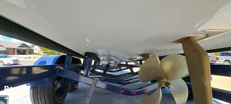 Slide: The Image of Tige Z3 2023 - 16372110