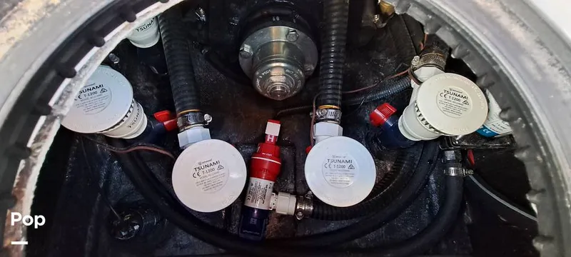 Slide: The Image of Tige Z3 2023 - 16372187