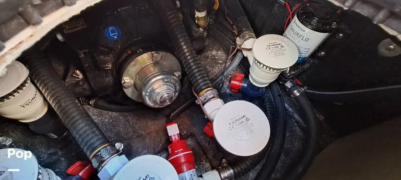 Slide: The Image of Tige Z3 2023 - 16372189