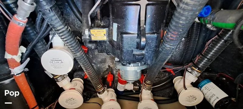 Slide: The Image of Tige Z3 2023 - 16372193