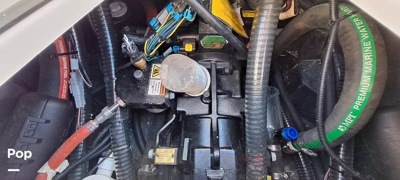 Slide: The Image of Tige Z3 2023 - 16372192