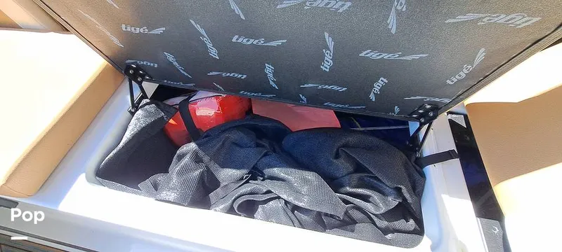 Slide: The Image of Tige Z3 2023 - 16372144