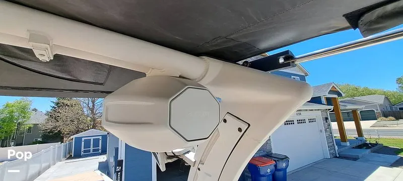 Slide: The Image of Tige Z3 2023 - 16372157