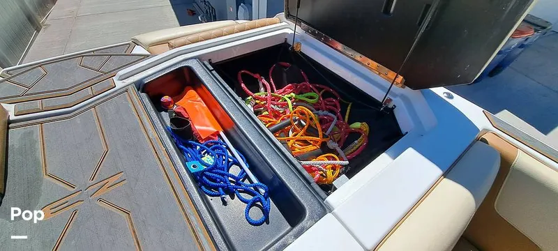 Slide: The Image of Tige Z3 2023 - 16372163