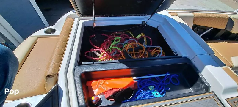 Slide: The Image of Tige Z3 2023 - 16372214