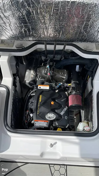 Slide: The Image of Scarab 195G 2019 - 16337766