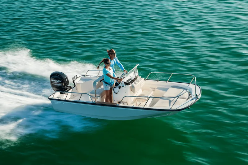 Slide: The Image of Boston Whaler 150 Montauk 2026 - 17