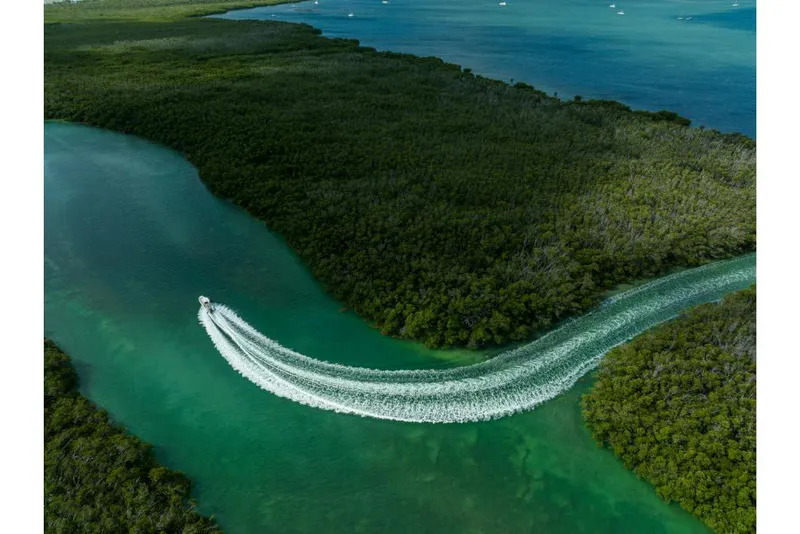 Slide: The Image of Boston Whaler 280 Dauntless 2023 - 113