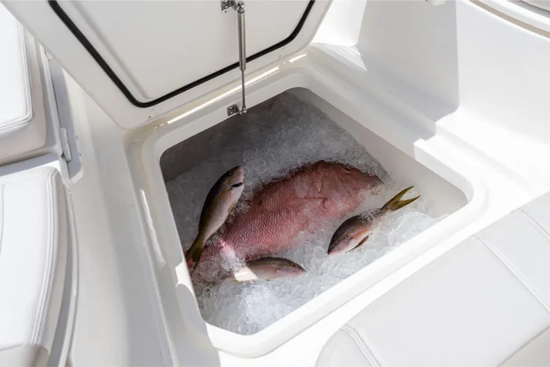 Slide: The Image of Boston Whaler 280 Dauntless 2023 - 70