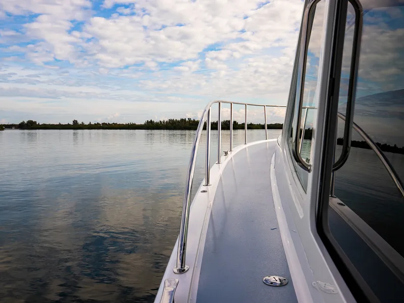 Slide: The Image of MJM 53Z 2021 - 8