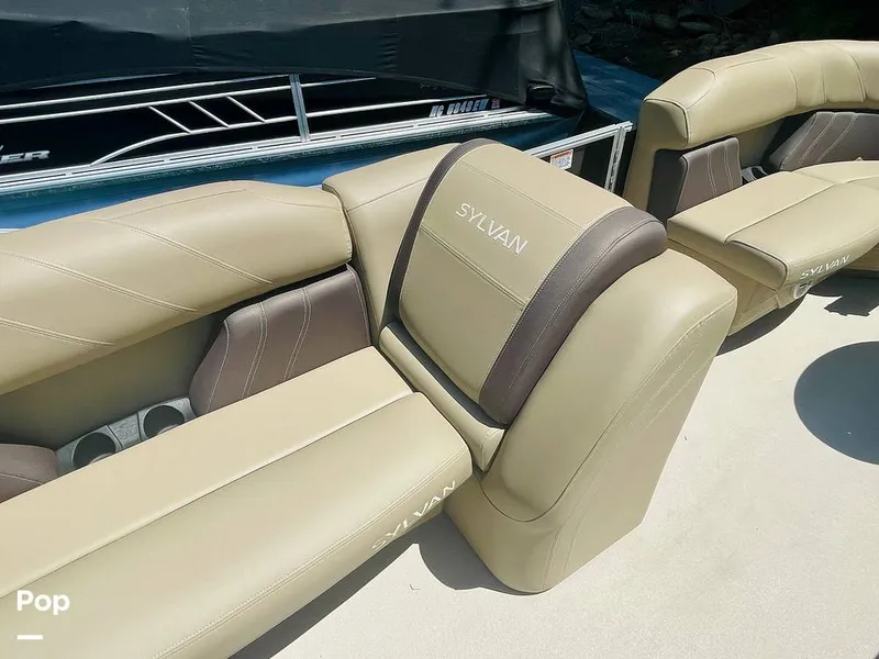 Slide: The Image of Sylvan Mirage 8520 Party Fish 2021 - 16379224