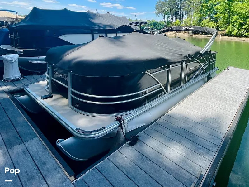 Slide: The Image of Sylvan Mirage 8520 Party Fish 2021 - 16379195