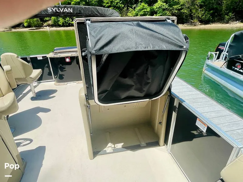 Slide: The Image of Sylvan Mirage 8520 Party Fish 2021 - 16379230