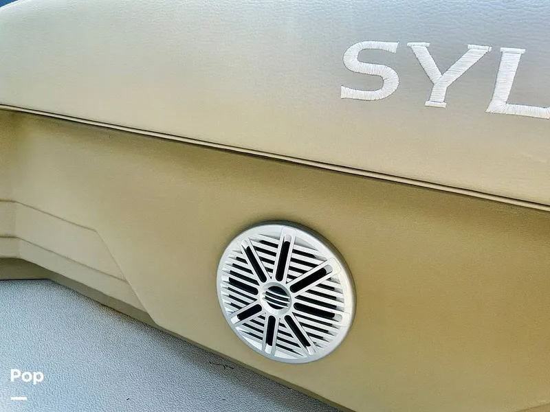 Slide: The Image of Sylvan Mirage 8520 Party Fish 2021 - 16379235