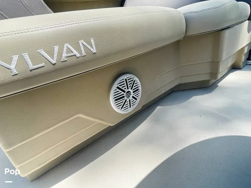 Slide: The Image of Sylvan Mirage 8520 Party Fish 2021 - 16379236