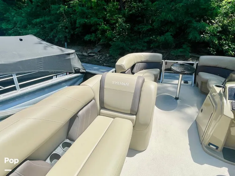 Slide: The Image of Sylvan Mirage 8520 Party Fish 2021 - 16379239