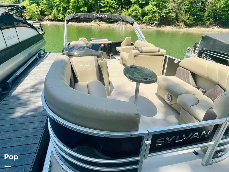 Slide: The Image of Sylvan Mirage 8520 Party Fish 2021 - 16379240