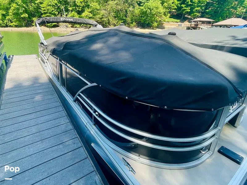 Slide: The Image of Sylvan Mirage 8520 Party Fish 2021 - 16379198