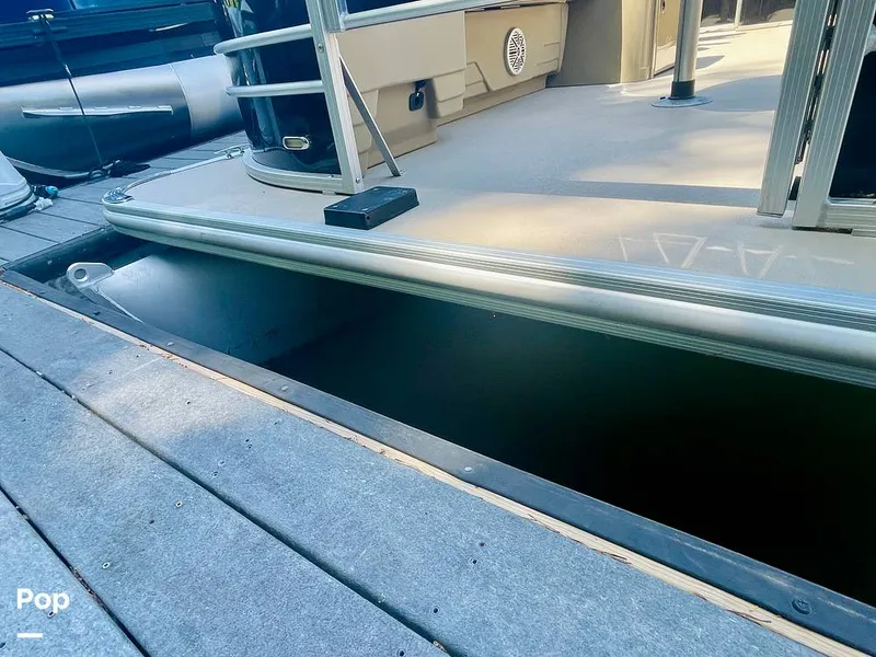 Slide: The Image of Sylvan Mirage 8520 Party Fish 2021 - 16379254