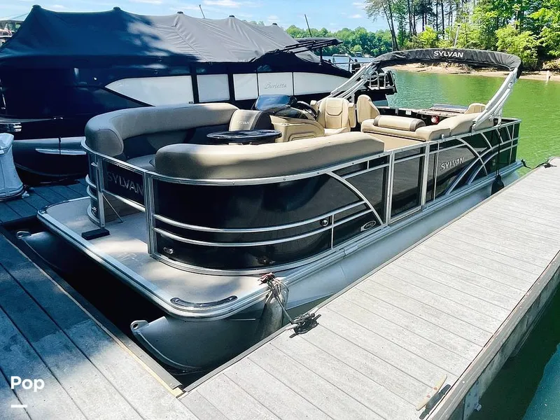 Slide: The Image of Sylvan Mirage 8520 Party Fish 2021 - 16379259