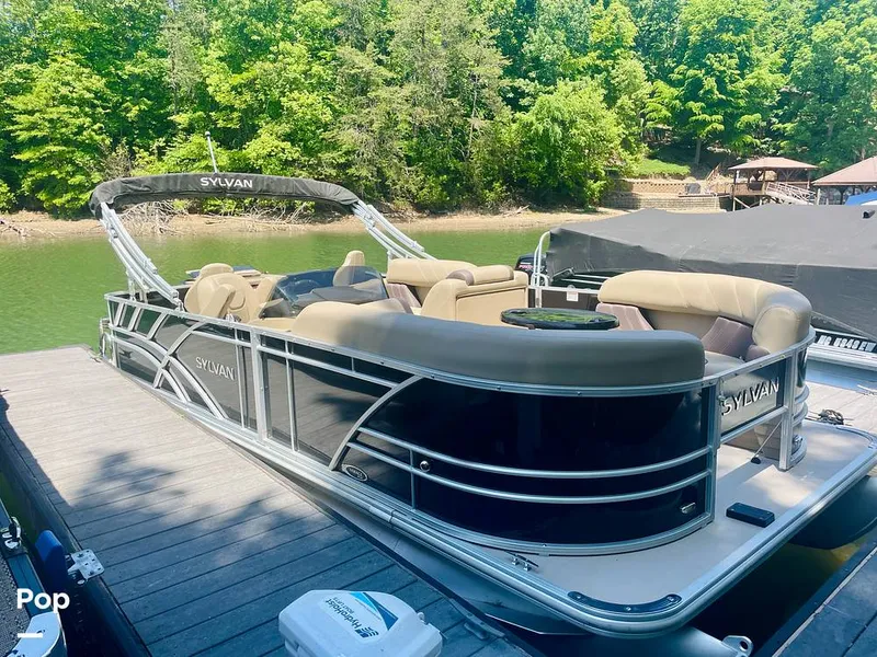 Slide: The Image of Sylvan Mirage 8520 Party Fish 2021 - 16379260