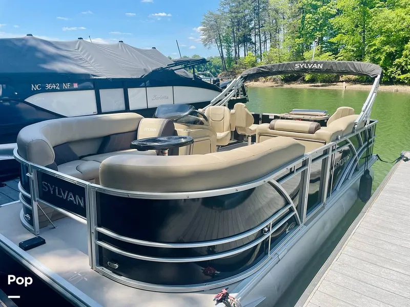 Slide: The Image of Sylvan Mirage 8520 Party Fish 2021 - 16379262