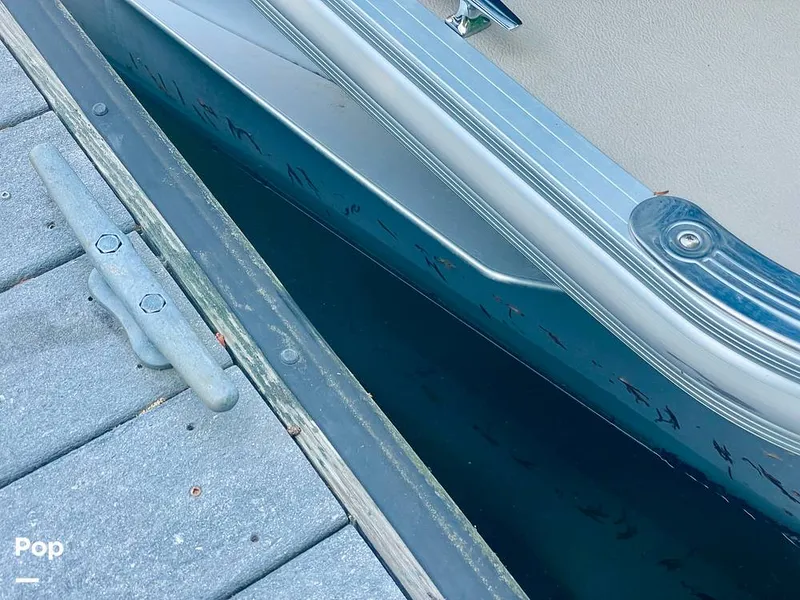 Slide: The Image of Sylvan Mirage 8520 Party Fish 2021 - 16379263