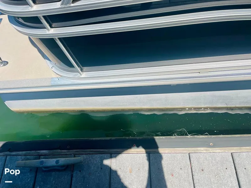 Slide: The Image of Sylvan Mirage 8520 Party Fish 2021 - 16379266