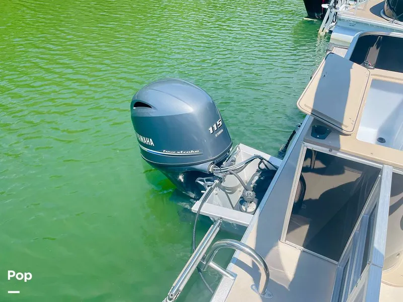 Slide: The Image of Sylvan Mirage 8520 Party Fish 2021 - 16379267