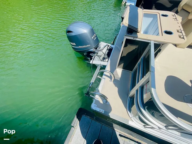 Slide: The Image of Sylvan Mirage 8520 Party Fish 2021 - 16379268