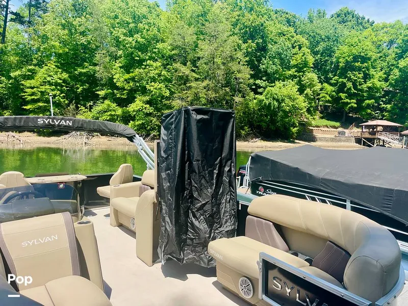 Slide: The Image of Sylvan Mirage 8520 Party Fish 2021 - 16379270