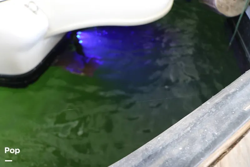 Slide: The Image of Sea Ray 310 Sundancer 1999 - 16337512