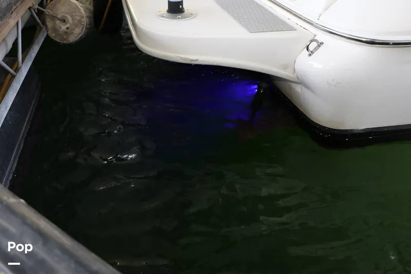 Slide: The Image of Sea Ray 310 Sundancer 1999 - 16337513