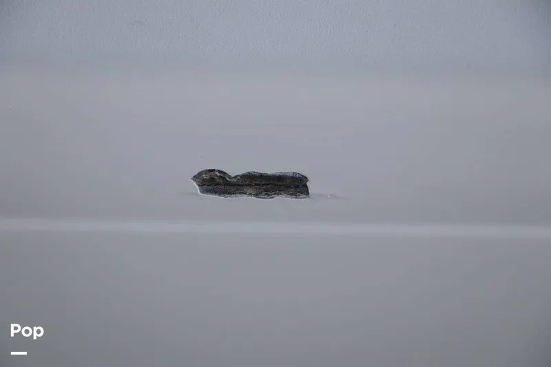 Slide: The Image of Sea Ray 310 Sundancer 1999 - 16337417