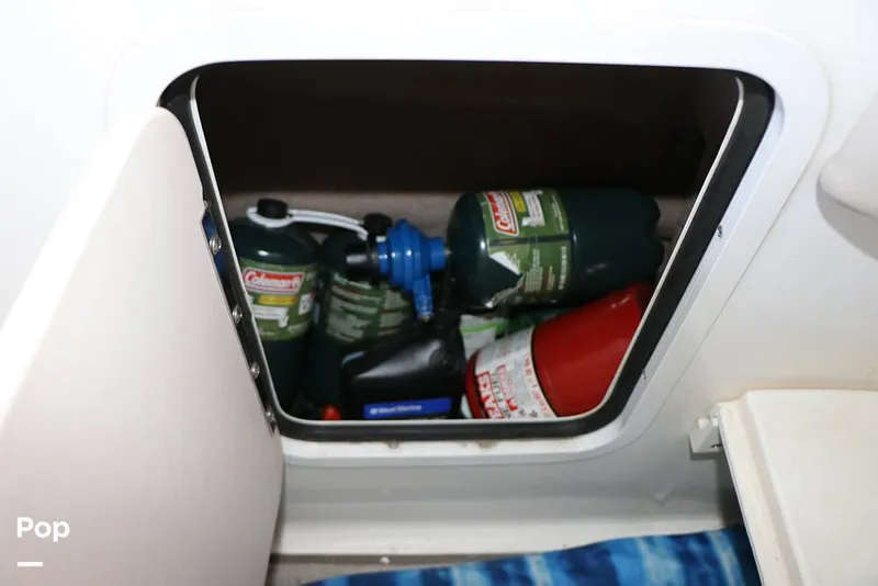 Slide: The Image of Sea Ray 310 Sundancer 1999 - 16337461