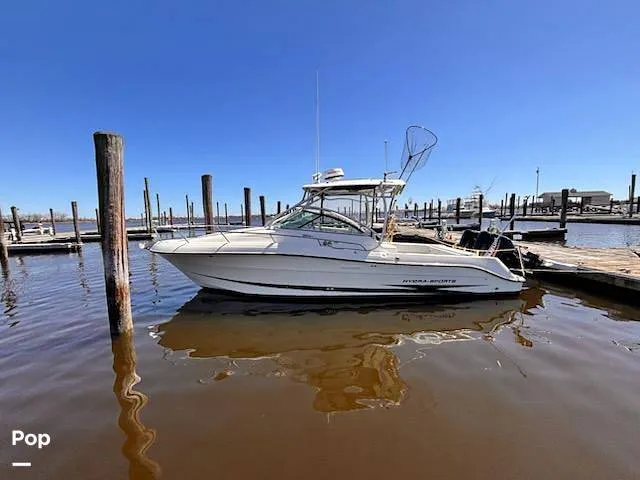 Slide: The Image of Hydra-Sports Vector 2900 EXP 2006 - 16367257