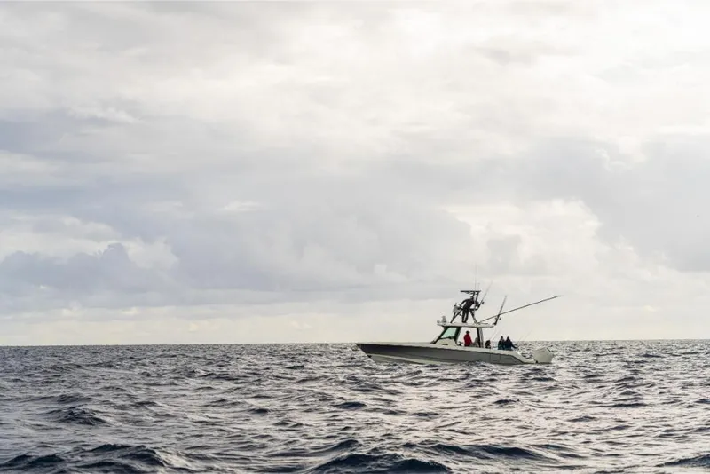 Slide: The Image of Boston Whaler 360 Outrage 2026 - 196