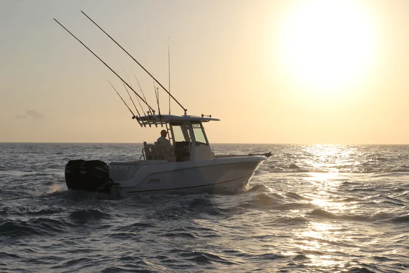 Slide: The Image of Boston Whaler 250 Outrage 2026 - 8