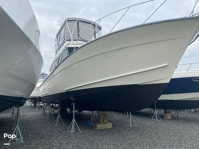 Slide: The Image of Egg Harbor 41 Sportfish 1989 - 16352503