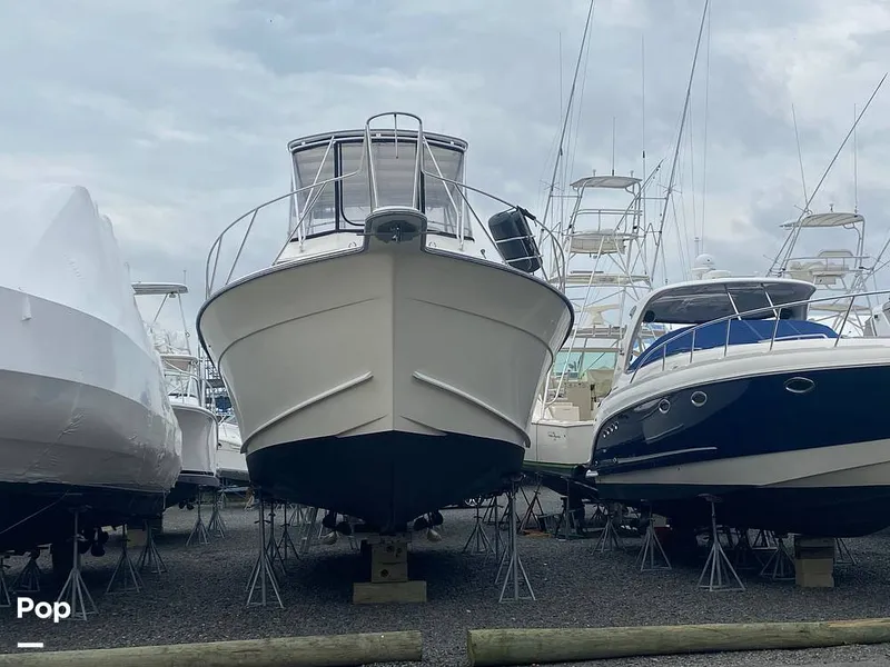 Slide: The Image of Egg Harbor 41 Sportfish 1989 - 16352500