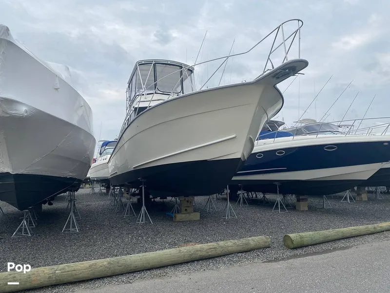 Slide: The Image of Egg Harbor 41 Sportfish 1989 - 16352502