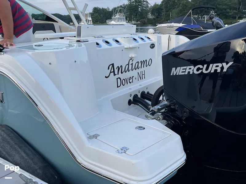 Slide: The Image of Sailfish 276DC 2022 - 16363955