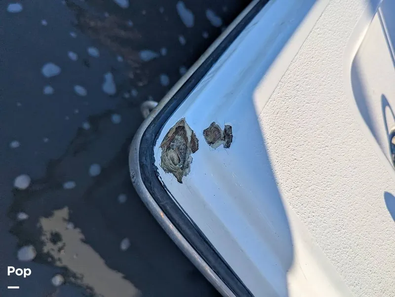 Slide: The Image of Pathfinder 2005 TRS 2023 - 16352206