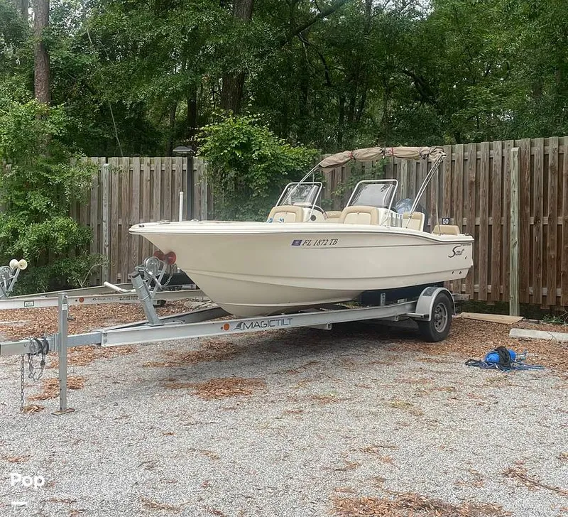 The Image of Scout 195 Sport Dorado 2022 - undefined