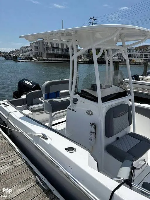 Slide: The Image of NauticStar 22 L 2024 - 16354978