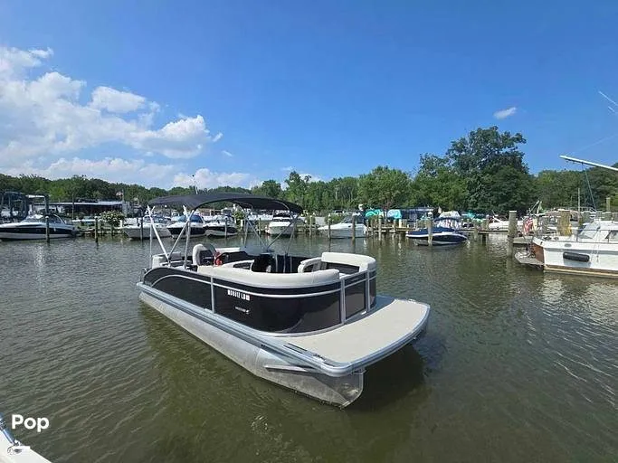 Slide: The Image of Harris 230 Breeze 2025 - 16357528