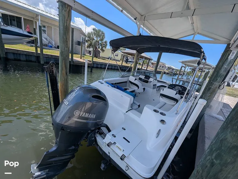 Slide: The Image of Hurricane SD217 2019 - 16373114